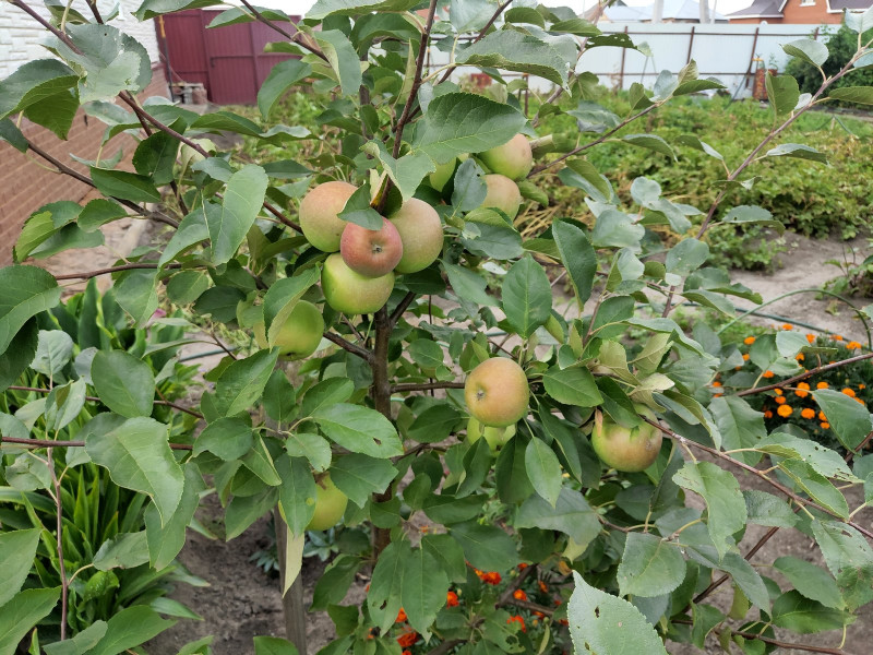 P10807-174116.jpg