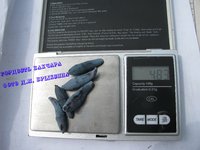 ГОРДОСТЬ БАКЧАРА.jpg