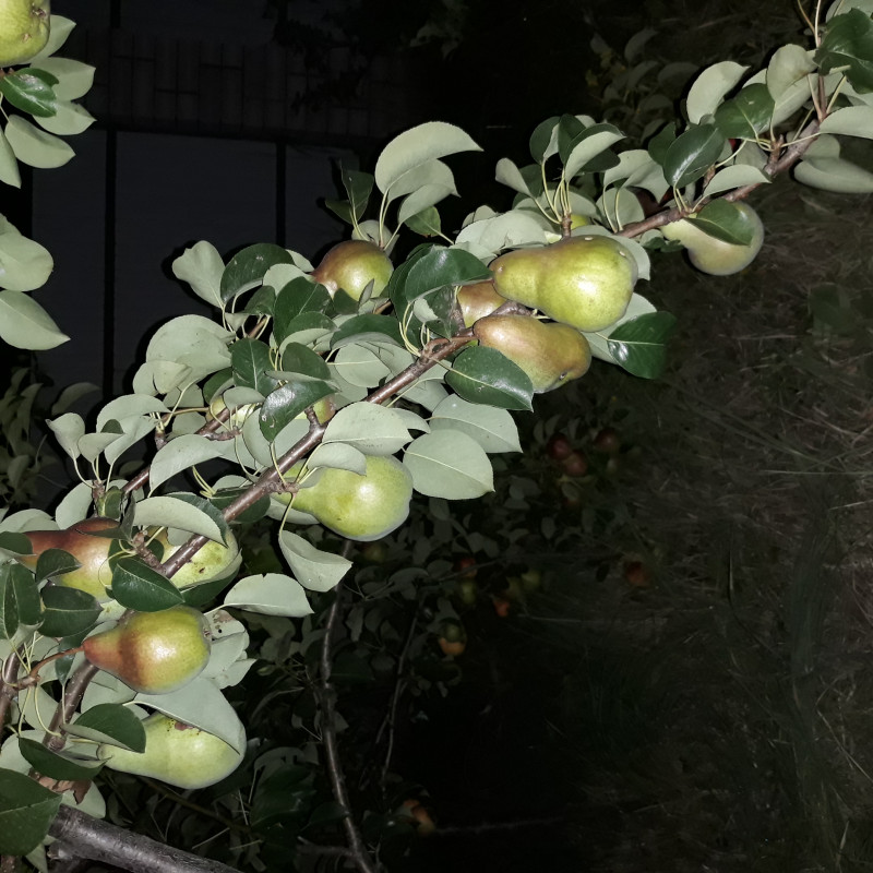 20210815_222542.jpg