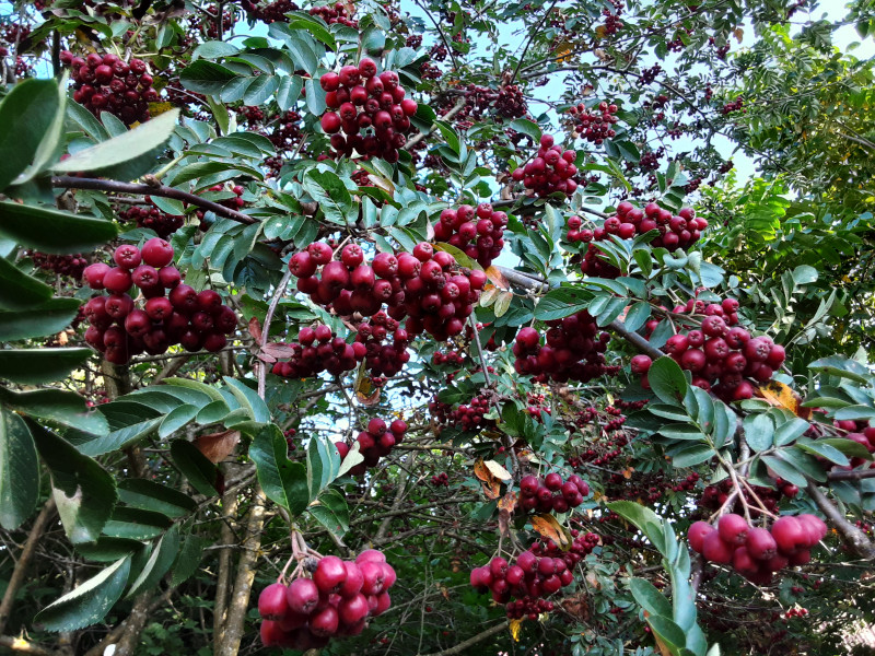 20210825_164343.jpg