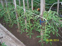 100_4157.JPG