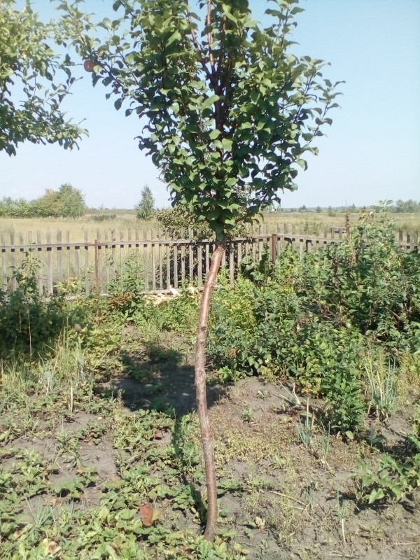 IMG_20210827_134733.jpg