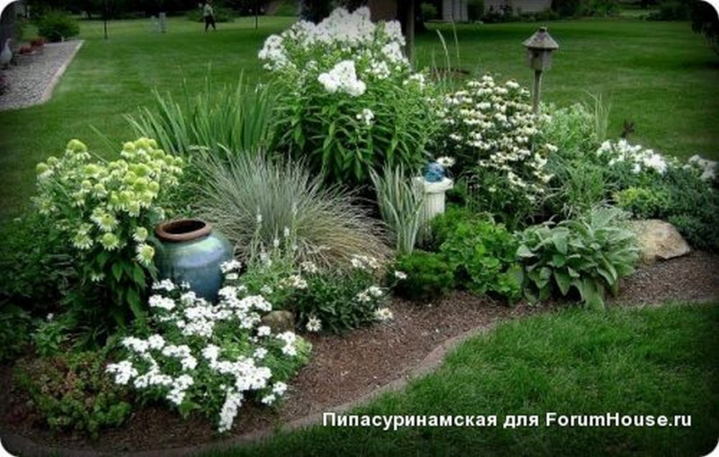 вариант бел флокс зеленый  41.jpg
