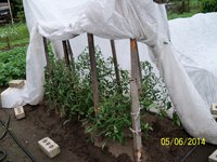 100_4162.JPG