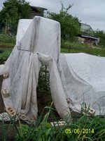 100_4161.JPG