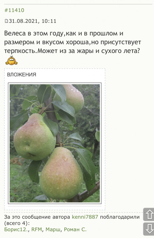 3F5FDE31-88E6-4C9C-9C6C-02EE6019A619.jpeg
