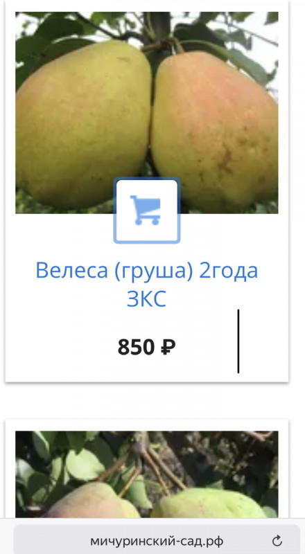 91F11540-B2B6-4B9A-BE62-B87C0B35C60E.jpeg