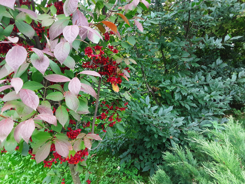 20210909_101750.jpg