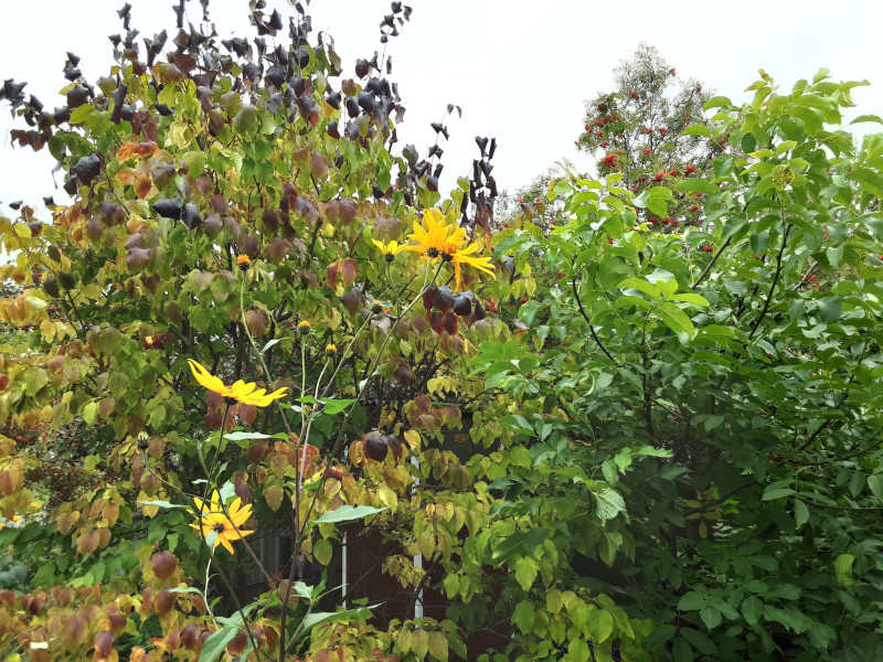 20210909_103647.jpg