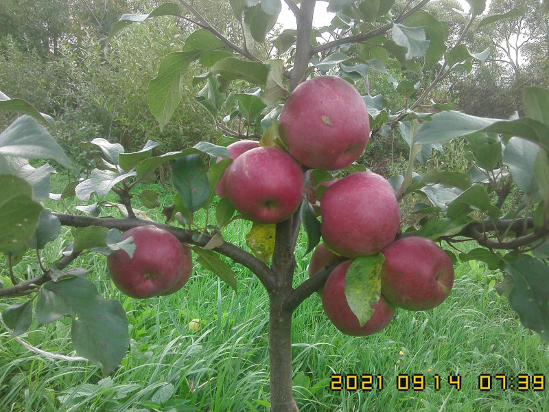IMG10264.jpg