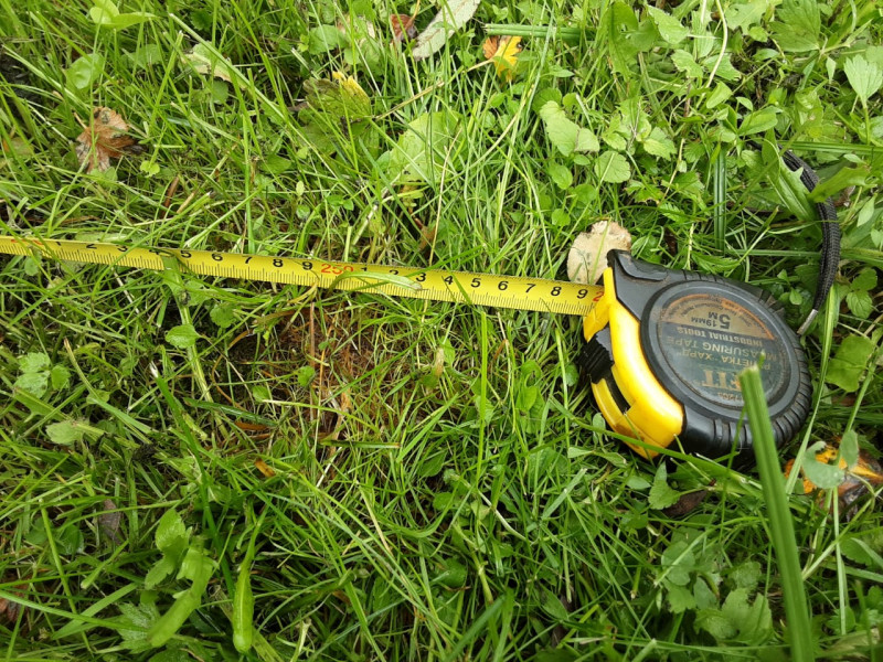 IMG-20210914-WA0006.jpg