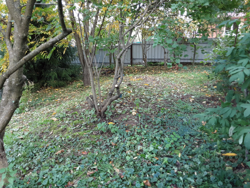 20210914_151902.jpg