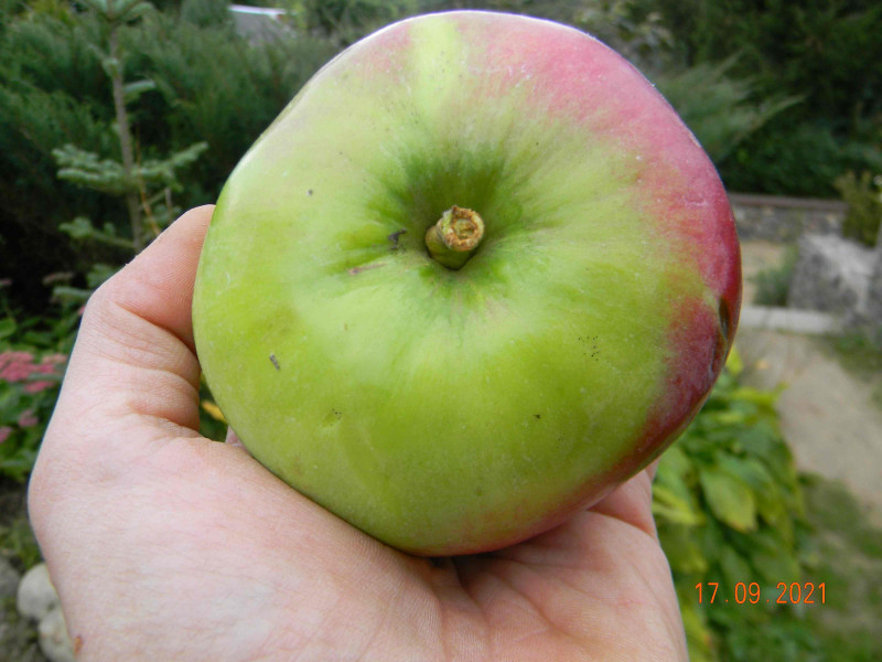 Image00001.jpg