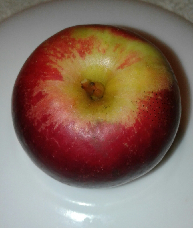 20210915_215954-1.jpg