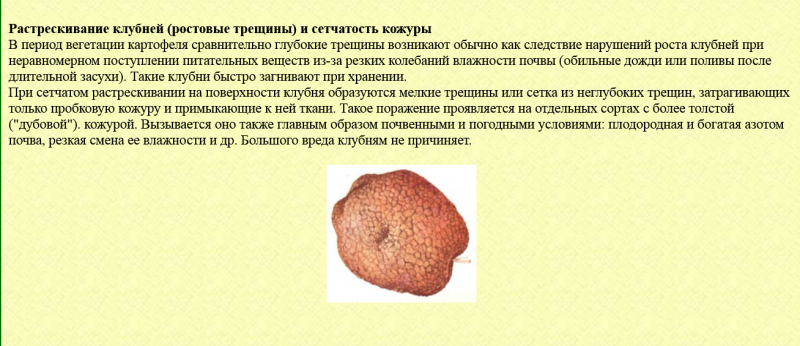 Screenshot 2021-09-25 at 16-27-49 Болезни и повреждения клубней.png