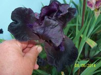 100_4237.JPG