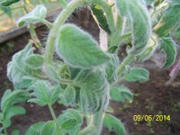 100_4232.JPG