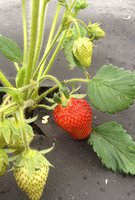 2014-06-10 10-07-40.JPG