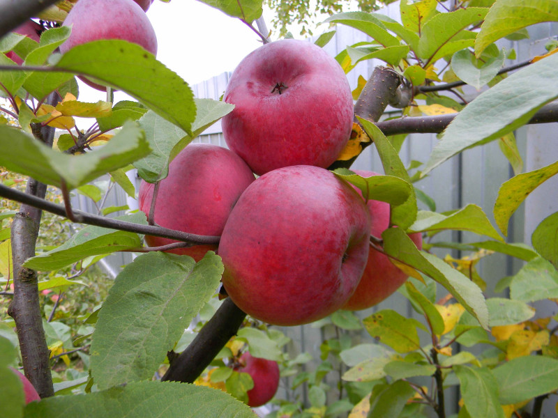 Image00001.jpg