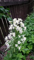 20140602_081913.jpg