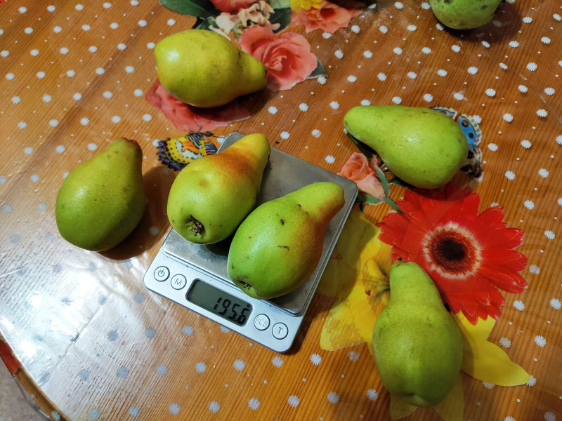 P11010-193140.jpg