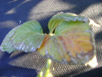DSC00779.JPG