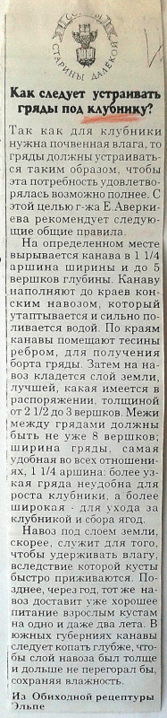 грядка для клубники.jpg