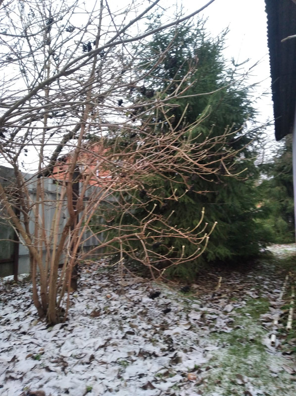 IMG-20211118-WA0001.jpg