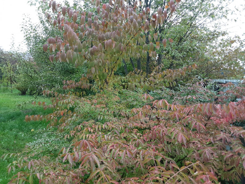 IMG-20211118-WA0004.jpg