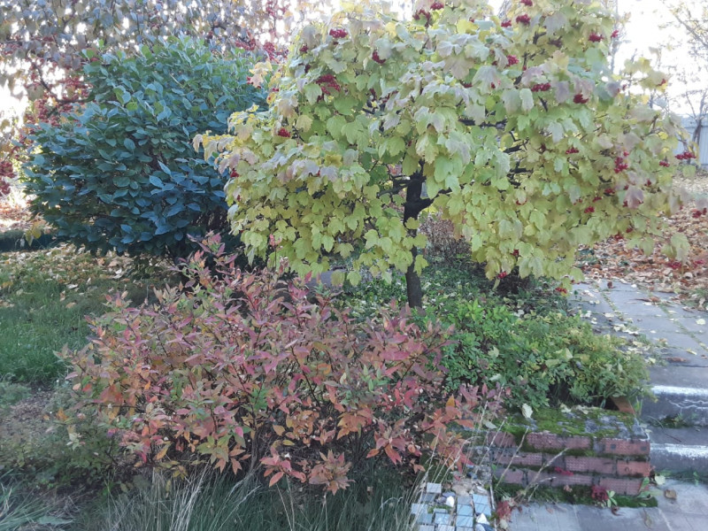 IMG-20211123-WA0004.jpg