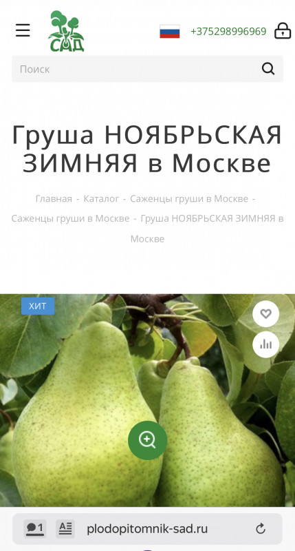 1695A585-BC51-4662-86EC-F7F6C1ECF76E.jpeg