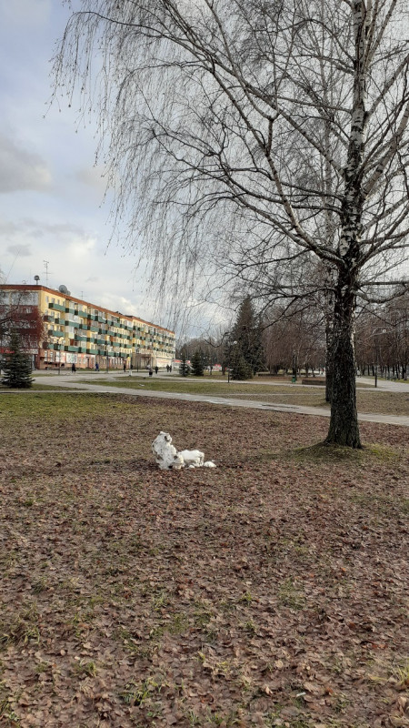 30.11.2021