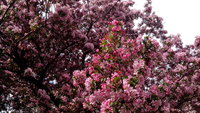 IMG_20140511_140118.jpg