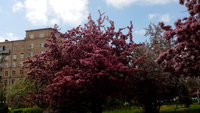 IMG_20140511_140058.jpg