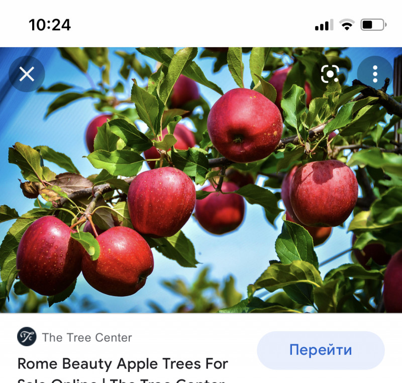 1D0E55AE-1EF6-43EF-965D-60E1EBBF1CD3.jpeg