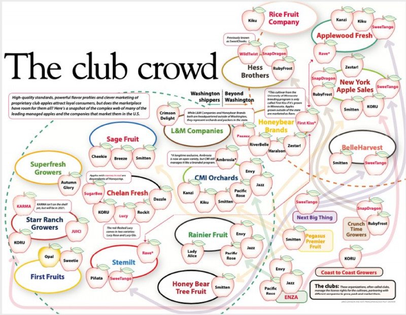 Club-Crowd-Chart.jpg