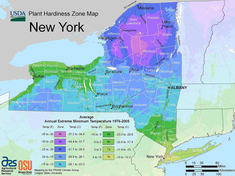 New_York_plant_hardiness_zone_map_2012.jpg