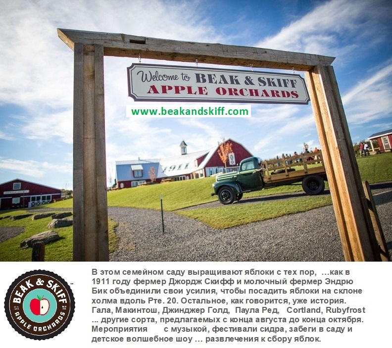 Beak-Skiff-Apple-Orchards.jpg