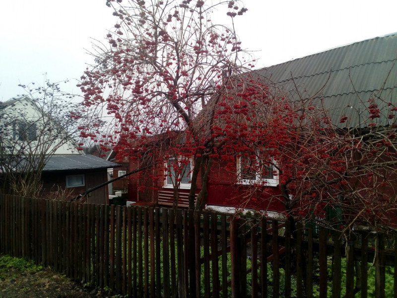 IMG_20211119_113643.jpg