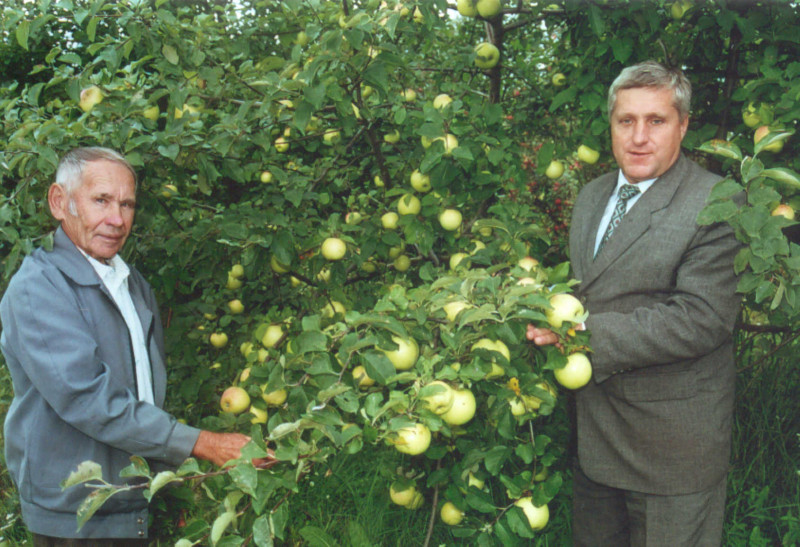 Александр Иванович и его детище